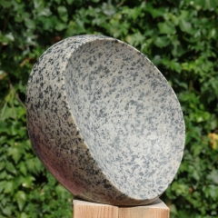 IMGP4446