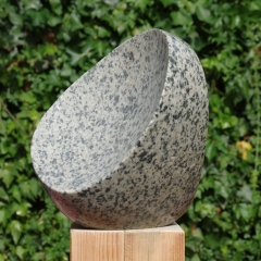 IMGP4447